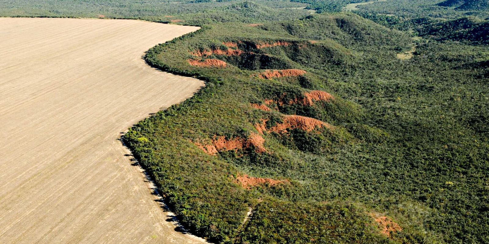 Área desmatada no Brasil em 2023 cai 11,6%, indica MapBiomas