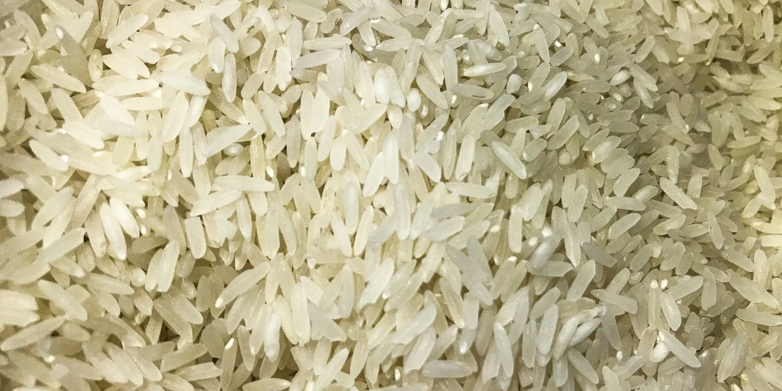 Polícia Federal abre investigação sobre leilão de arroz