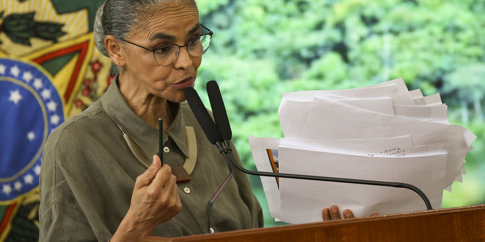 Desmatamento no Cerrado tem redução de 12,9% neste ano