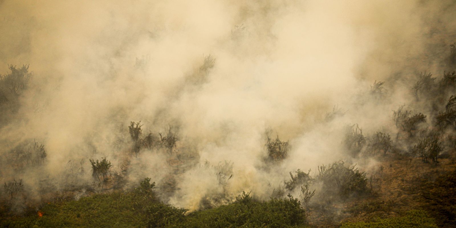 Governo vai liberar R$ 100 mi para combate a incêndios no Pantanal