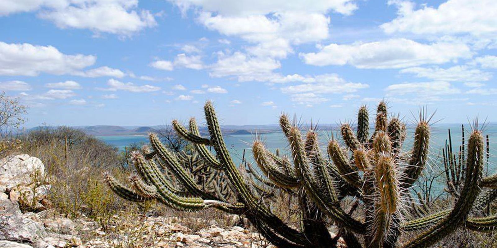 Governo vai criar 12 unidades de conservação na Caatinga