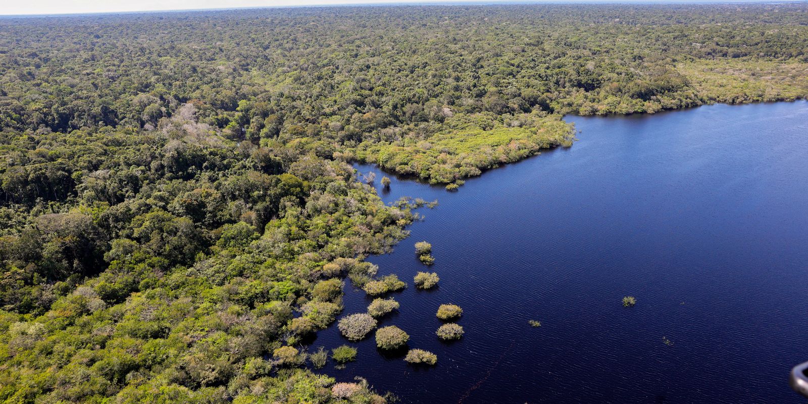 Criação do Museu das Amazônias é lançada em Belém