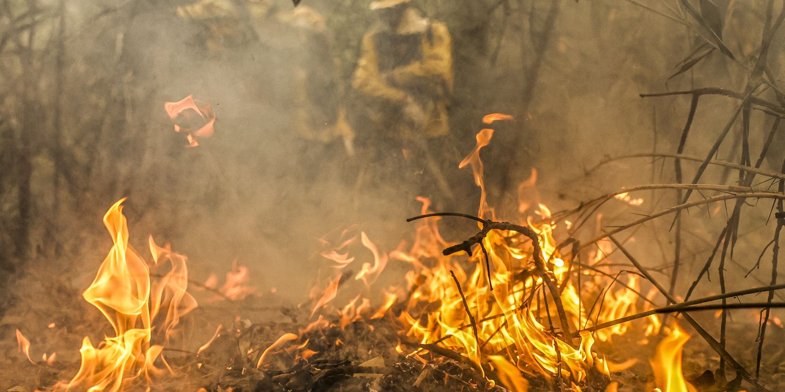 Combate a incêndios pode ser feito por pilotos e aviões estrangeiros 