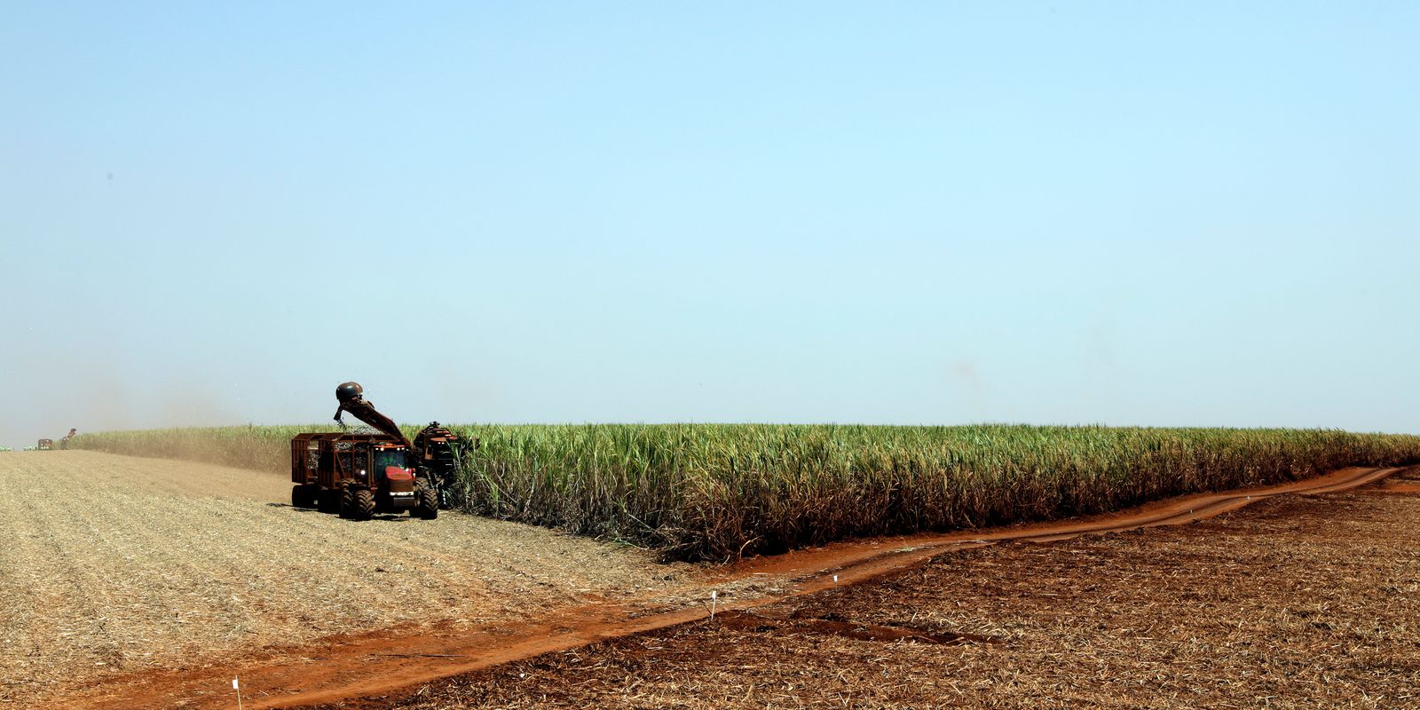 Governo libera R$ 210 milhões para o seguro rural no Rio Grande do Sul