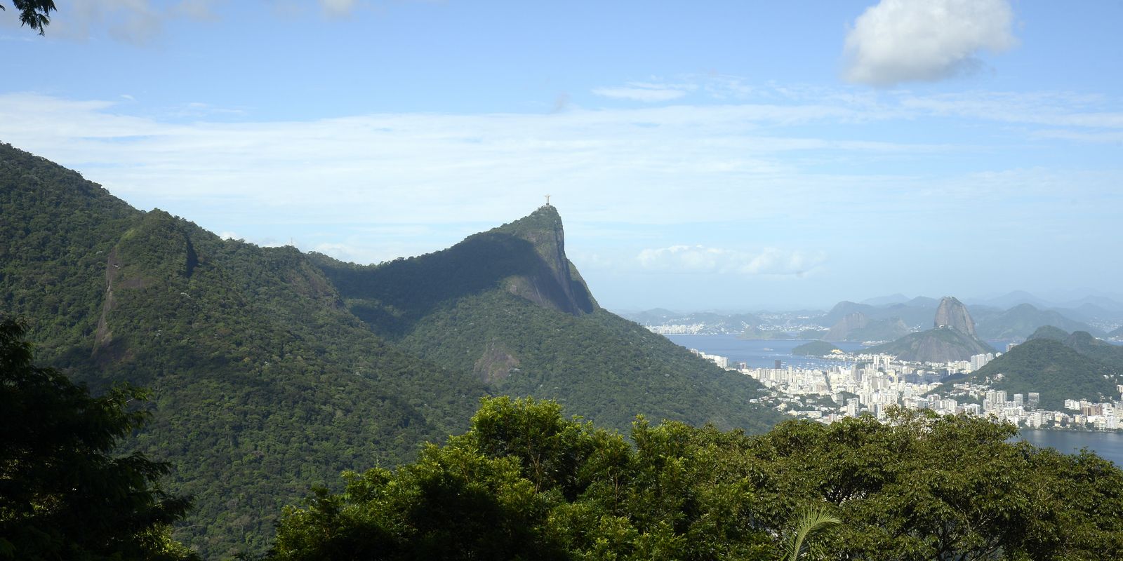 Só 6,9% das áreas urbanas do país são cobertas por vegetação