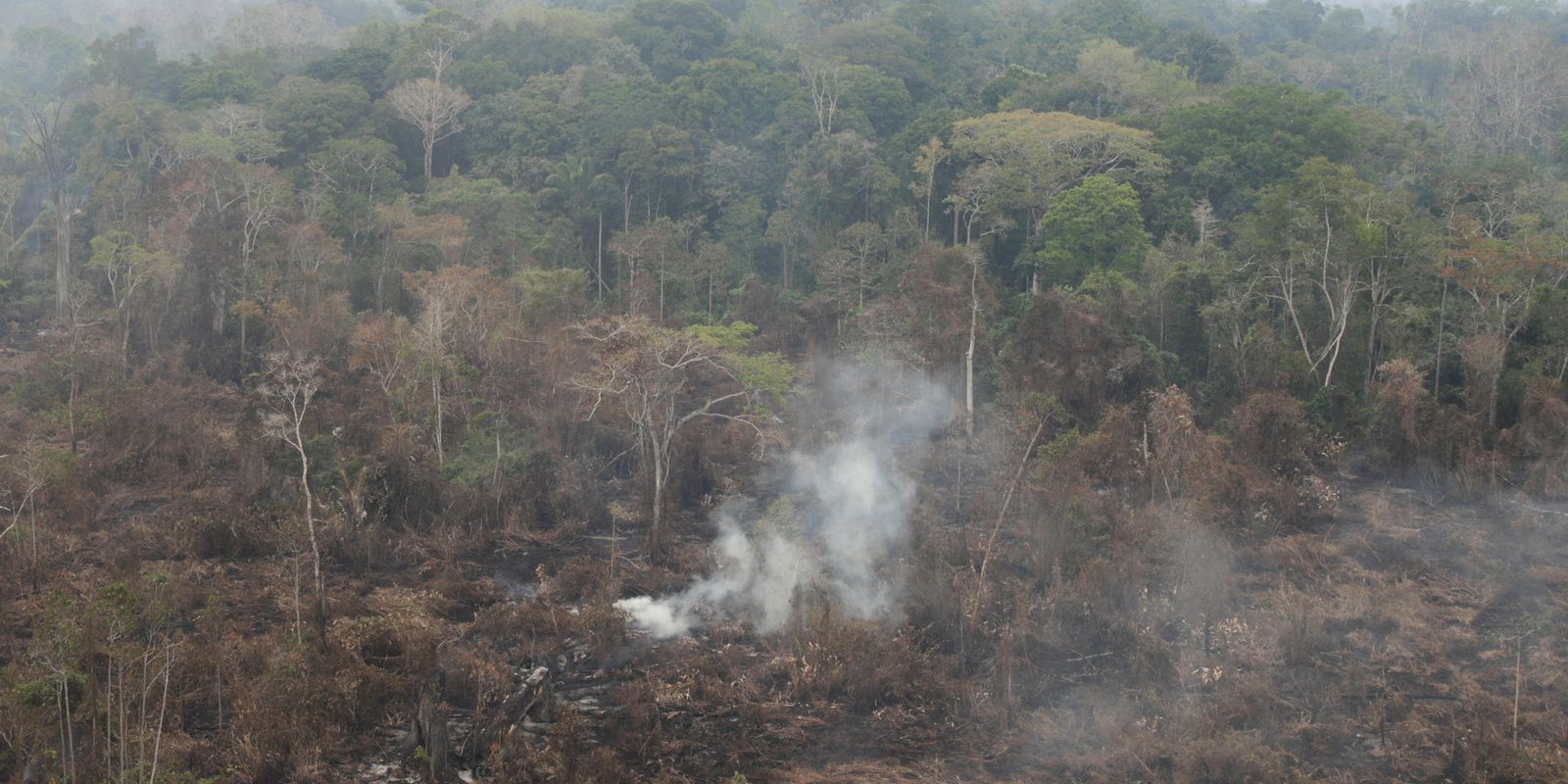 Dino determina que estados da Amazônia expliquem focos de queimadas