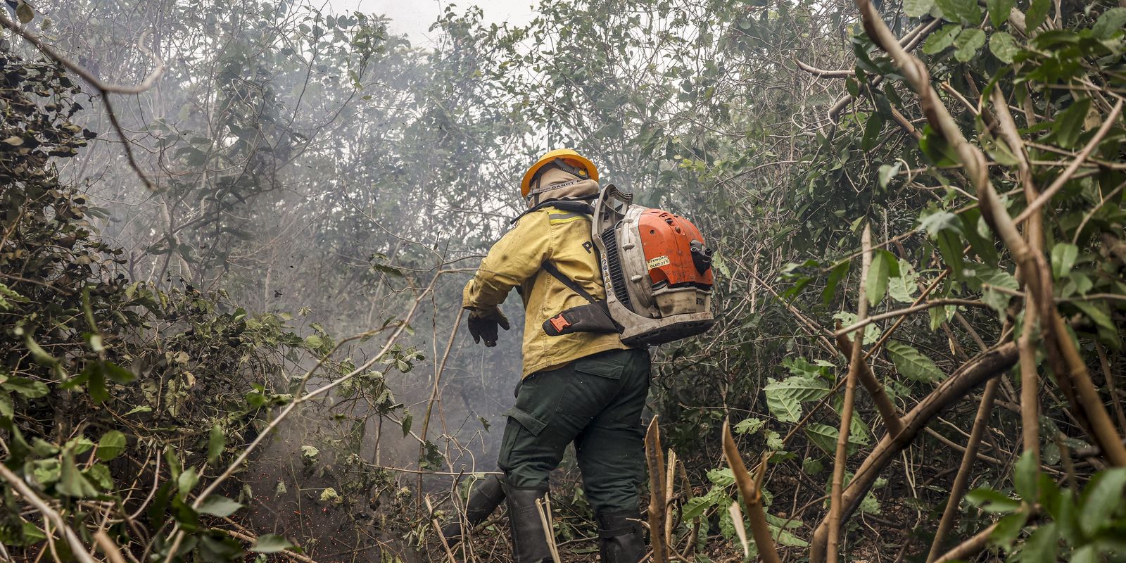 Dino manda governo ampliar combate ao fogo na Amazônia e no Pantanal