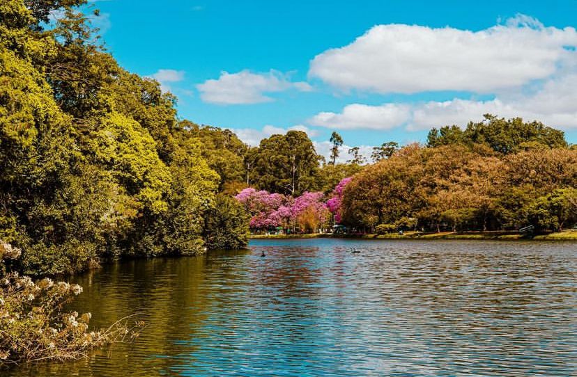 Parque Ibirapuera Celebra 70 Anos com Reformas e Homenagem a Rita Lee