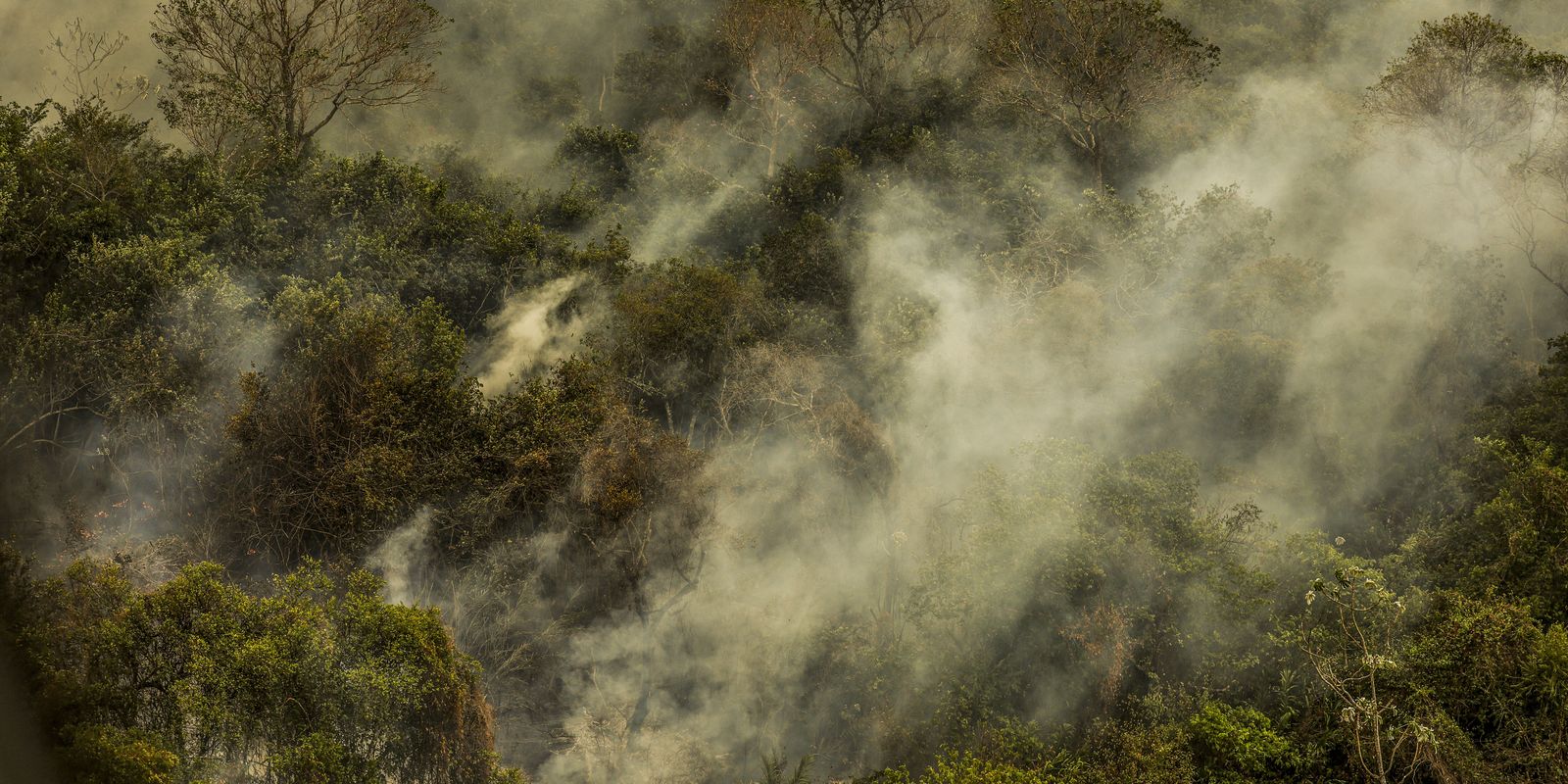 Rondônia declara situação de emergência por incêndios florestais