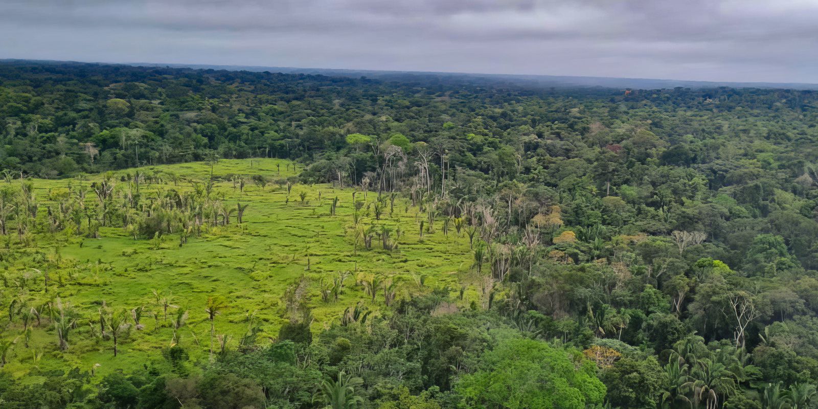 Alertas de desmatamento na Amazônia caem 10,6%