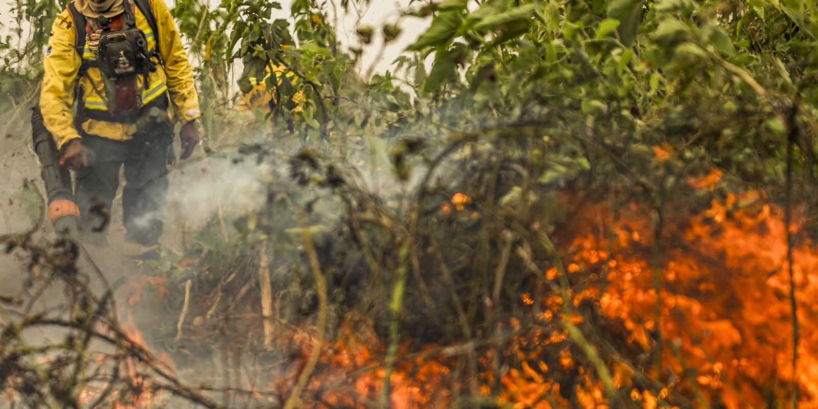 Brasil já registrou mais de 154 mil focos de calor este ano