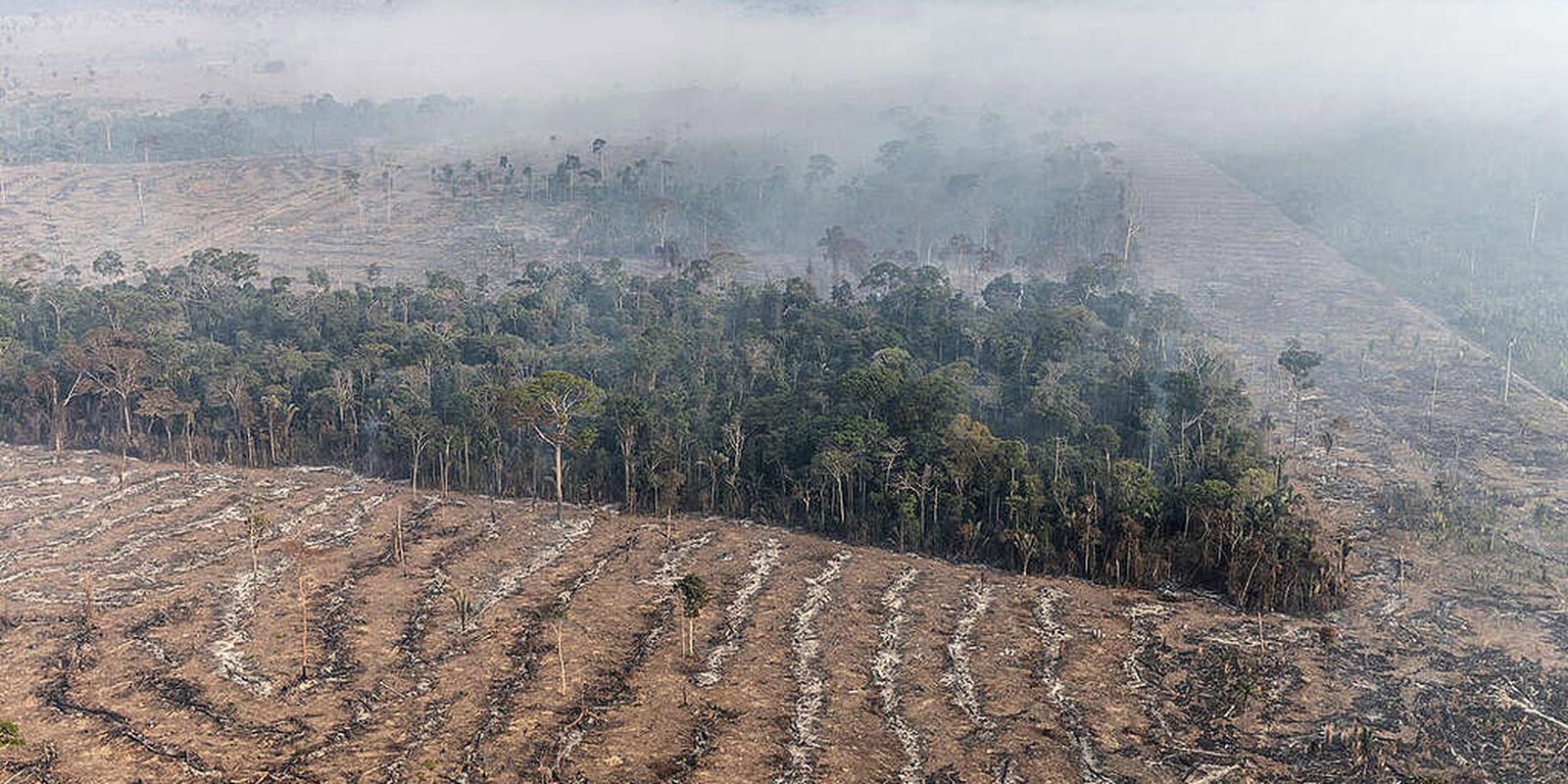 Fogo na Amazônia se concentra em locais onde agronegócio avança