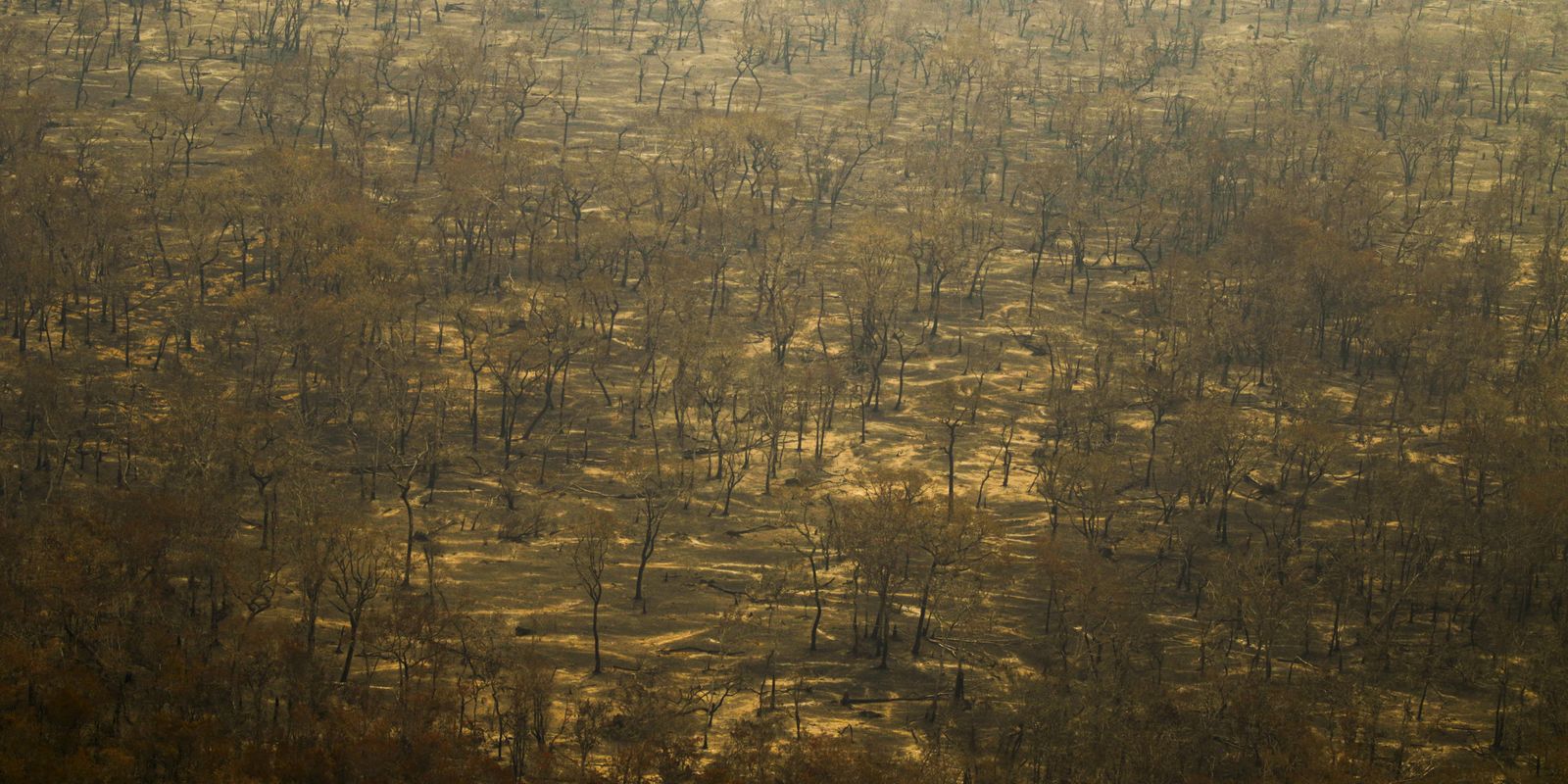 Incêndios e seca na Amazônia e no Pantanal batem marcas históricas