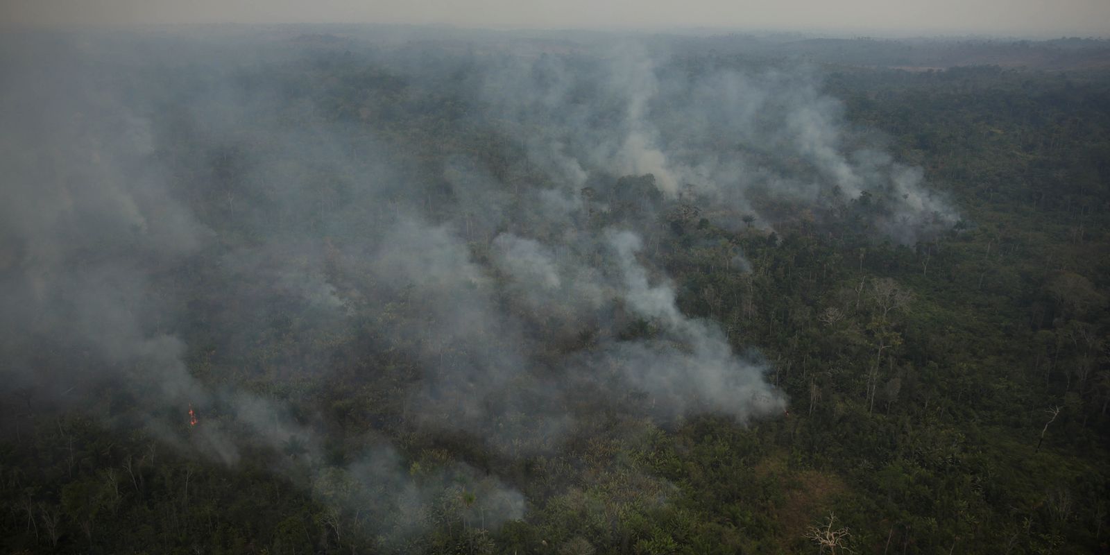 Risco de incêndio fecha 80 Unidades de Conservação em São Paulo