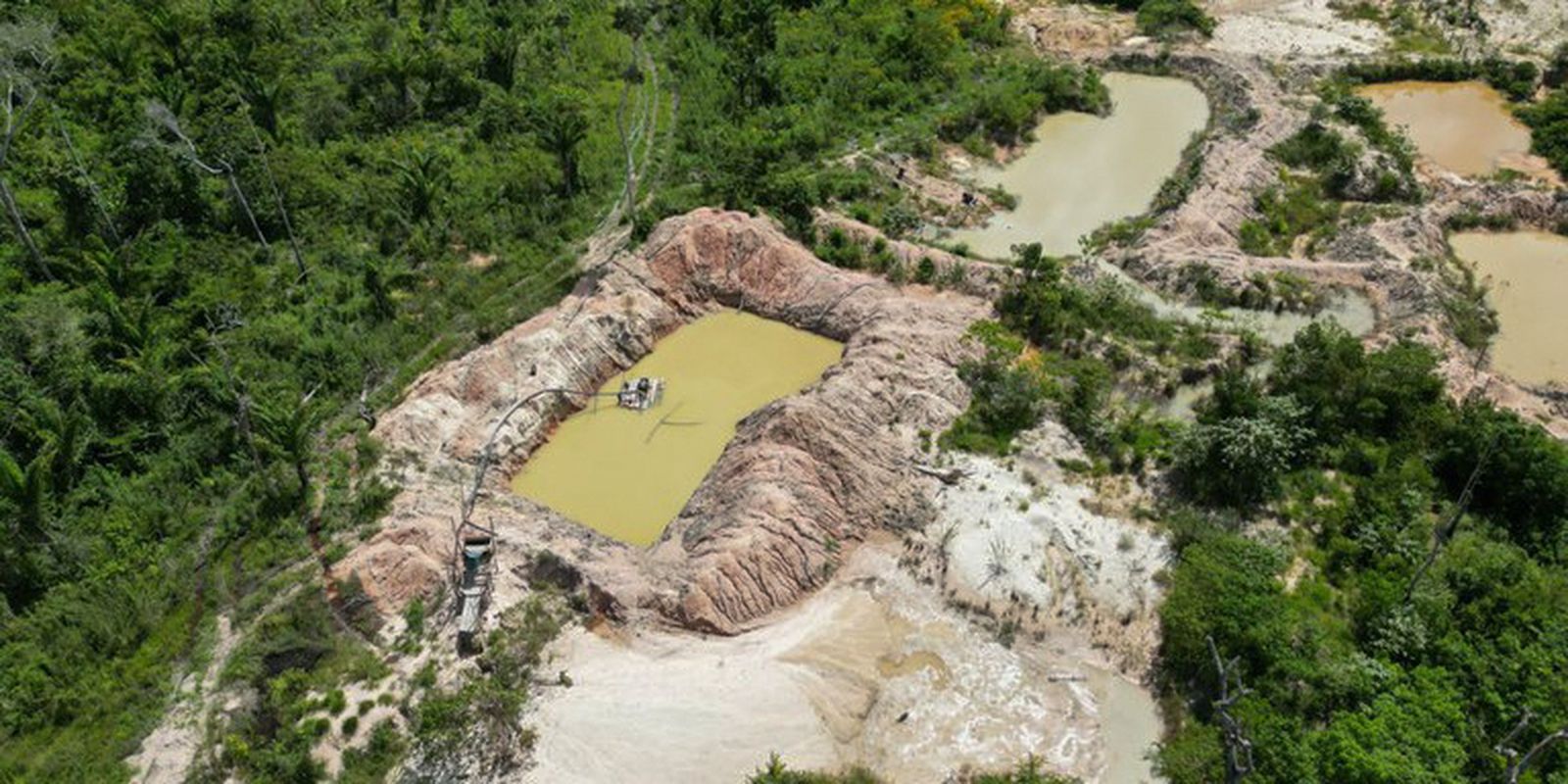 Terra Indígena Kayapó tem mais de 17% de área tomada pelo fogo