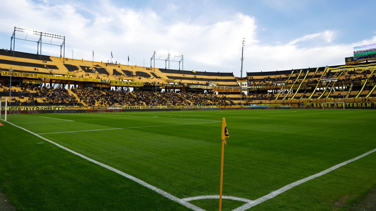 Conmebol quer liberação de torcida do Botafogo e ameaça até portões fechados