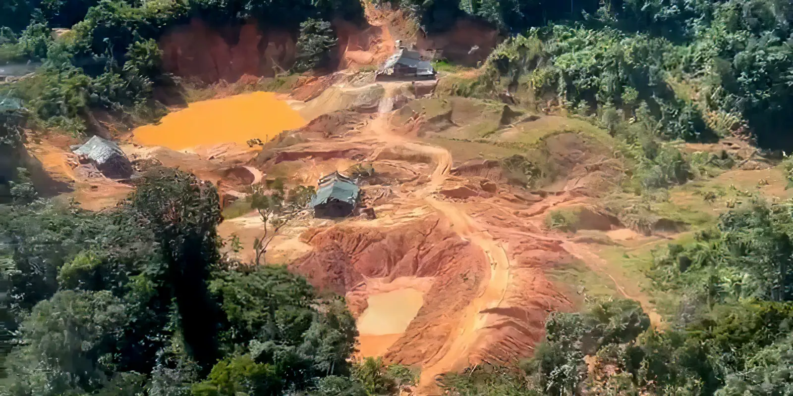 Crimes ambientais na Amazônia Legal aumentam 88%, aponta PRF