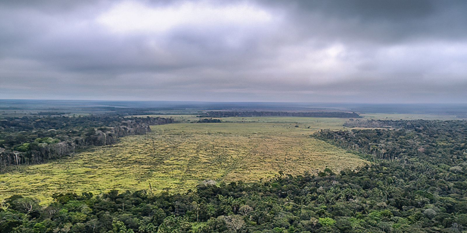 Degradação de florestas na Amazônia bate recorde mensal em setembro