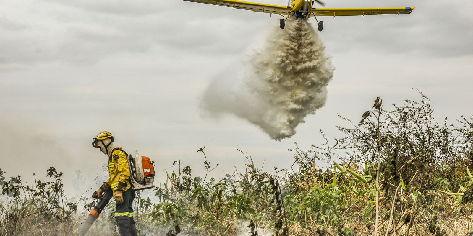 Pantanal: redução da área alagada tem favorecido aumento de incêndios