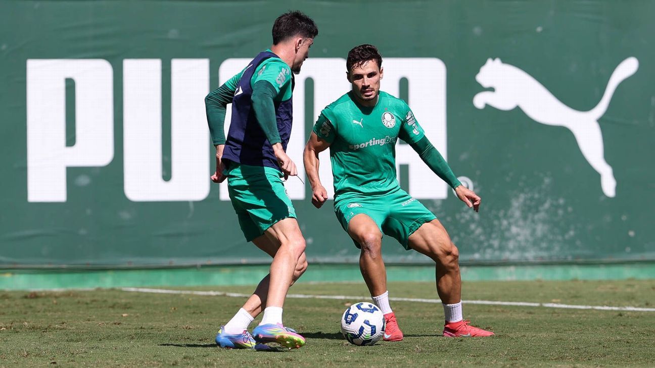 Veiga e Mayke treinam e devem reforçar Palmeiras contra o Vasco