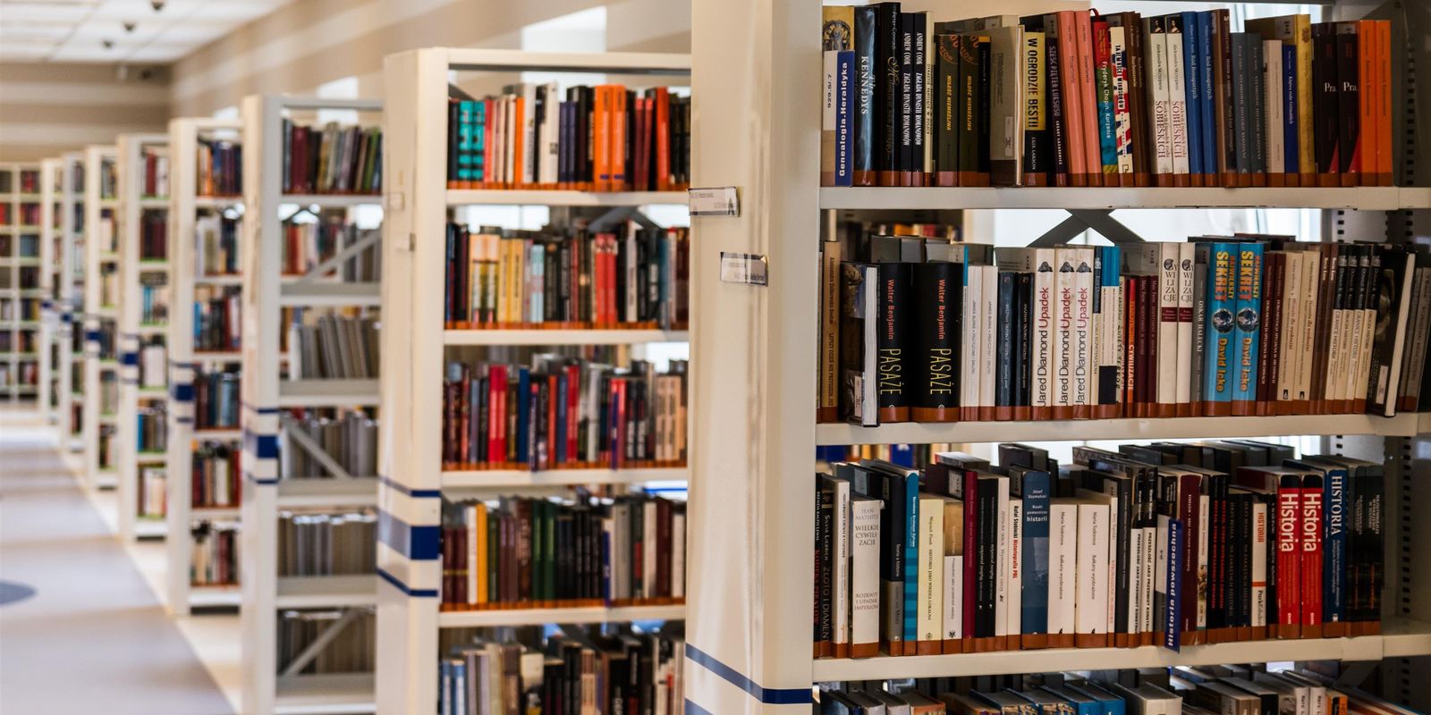Edital destina R$ 550 mil para ações que fomentem leitura e escrita