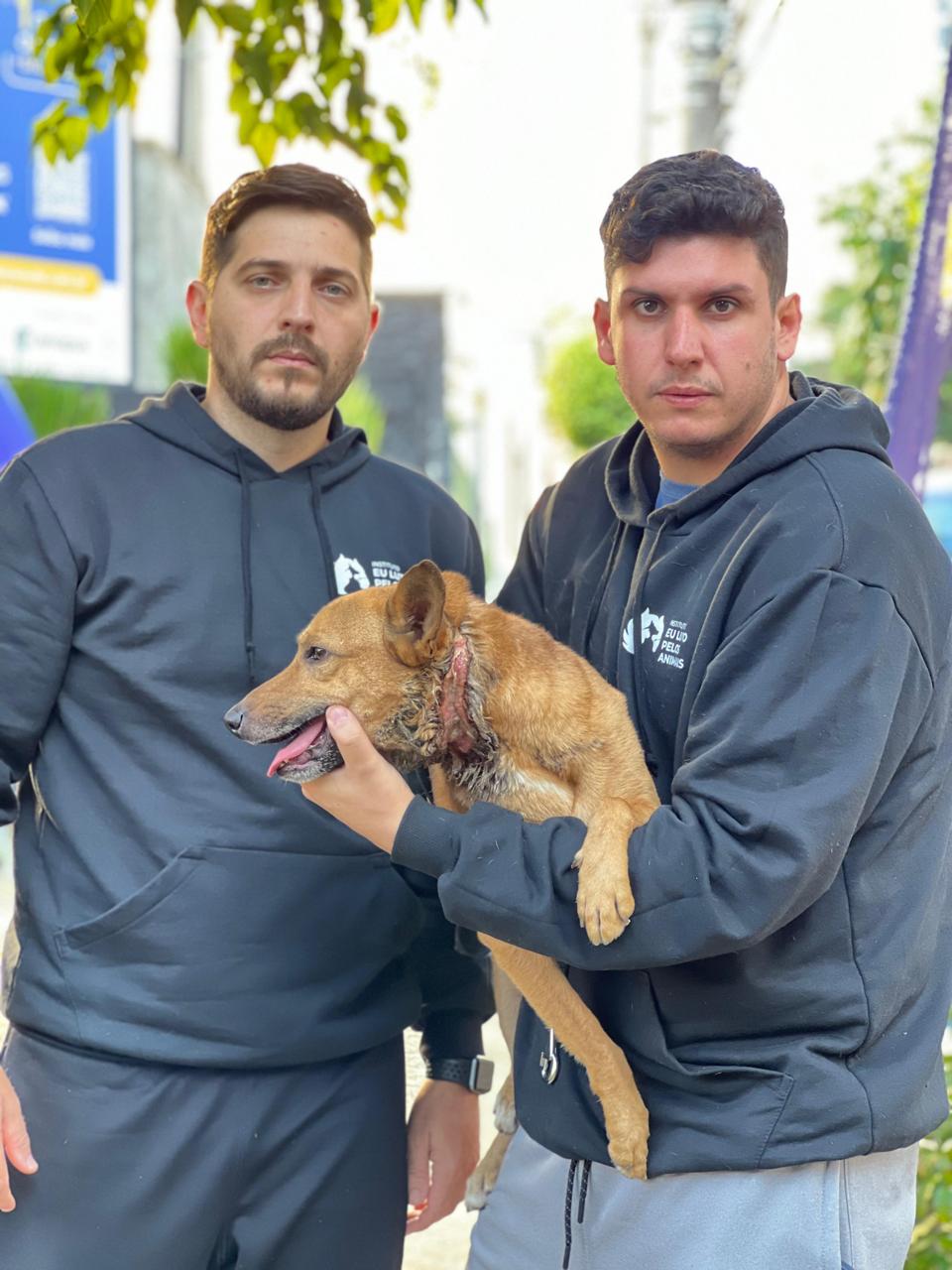 Deputado Rafael Saraiva, Dirceu Caramaschi e Instituto ELPA fazem de São Paulo referência no combate ao acorrentamento de animais