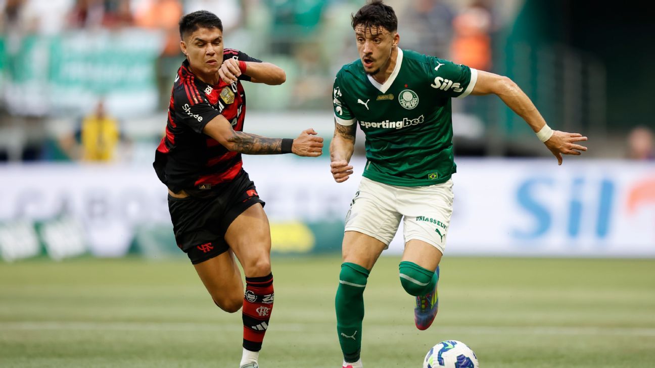 SAF é solução? Dirigente brasileiro na Europa vê Palmeiras e Flamengo como ‘exemplos’ e aponta ‘caminho’ para times em crise