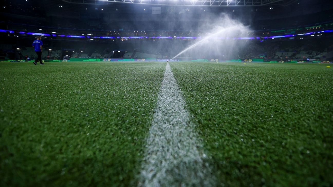 O detalhe de novo gramado do Allianz Parque que deve dar fim a ‘incômodo’ na torcida do Palmeiras