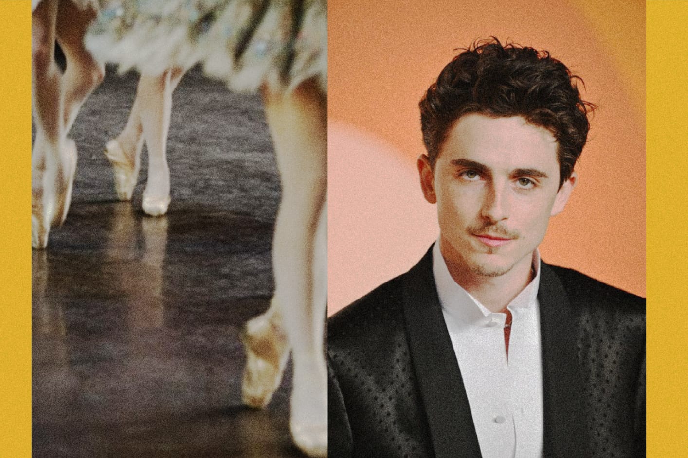 Porque Timothée Chalamet incomodou tanta gente?