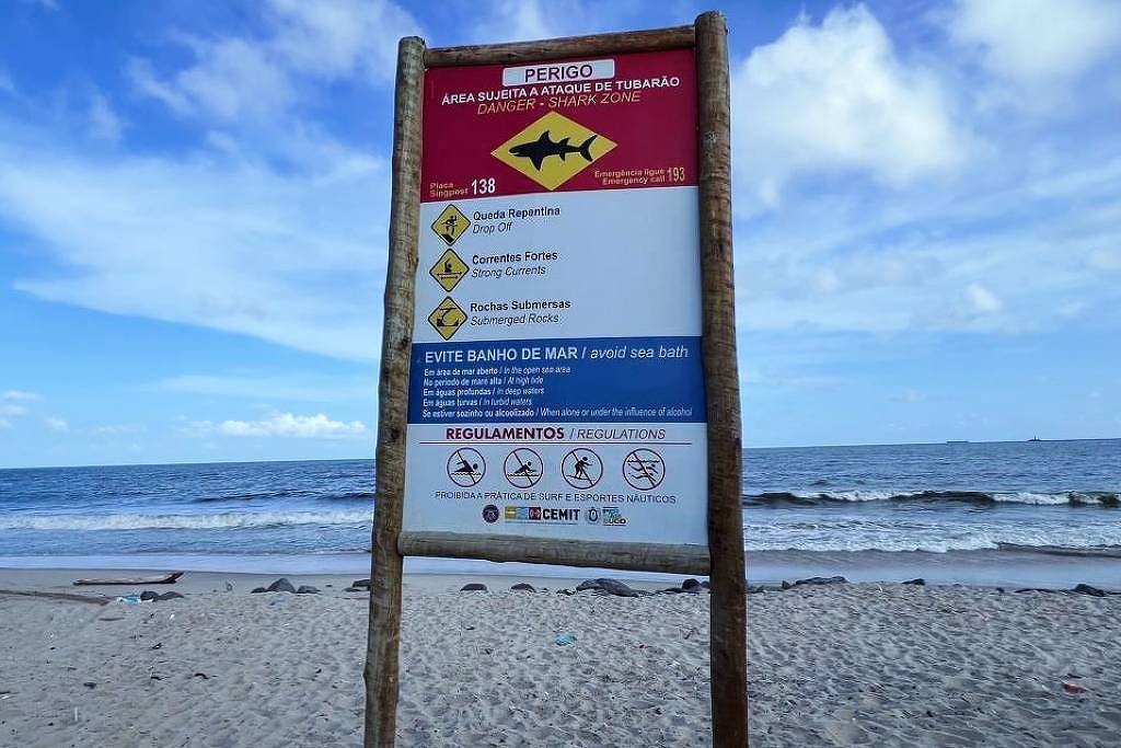 Menino de 11 anos é atacado por tubarão em Jaboatão dos Guararapes (PE)