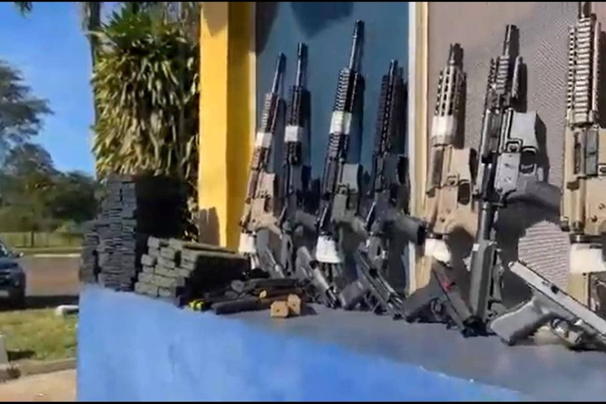 Polícia encontra 26 fuzis em caminhão com carga de ração animal