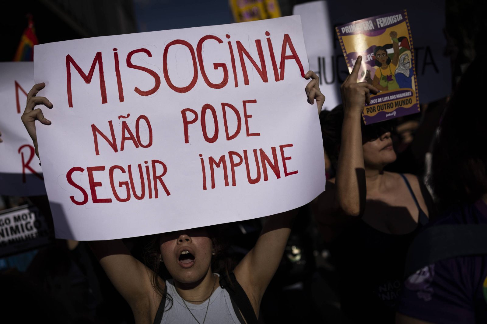 Tabata redefine conceito de misoginia em análise na Câmara e propõe punição maior a crime na internet