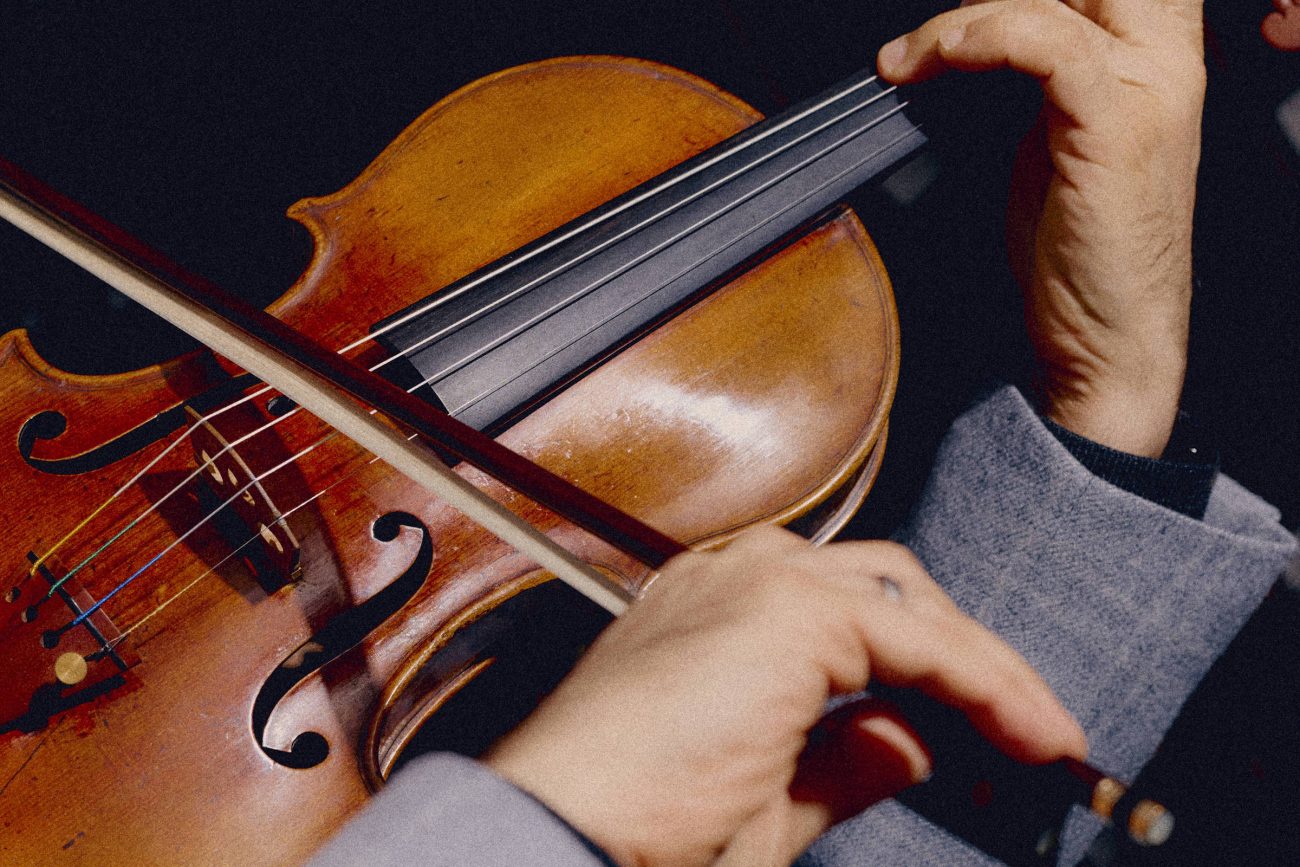 Fabricantes de instrumentos musicais tentam manter uso de pau-brasil