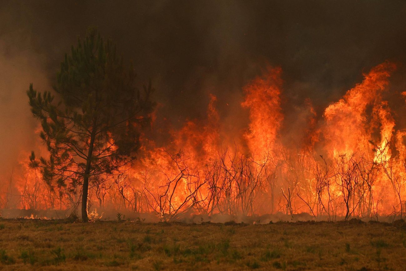 Incêndio ameaça região produtora de vinho e força evacuação de 325 mil pessoas na França e na Espanha