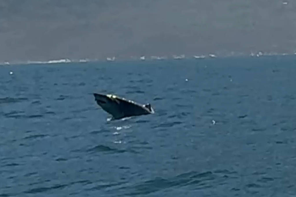 Turista faz registro raro de ‘salto’ de tubarão em Ilhabela (SP)
